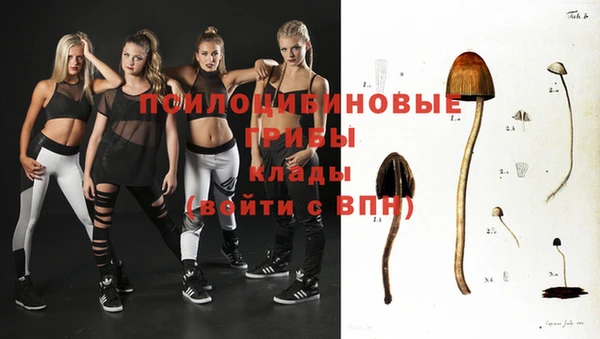 спайс Беломорск