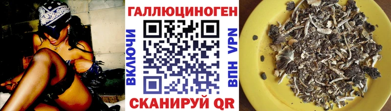 купить   Волхов  Галлюциногенные грибы ЛСД 